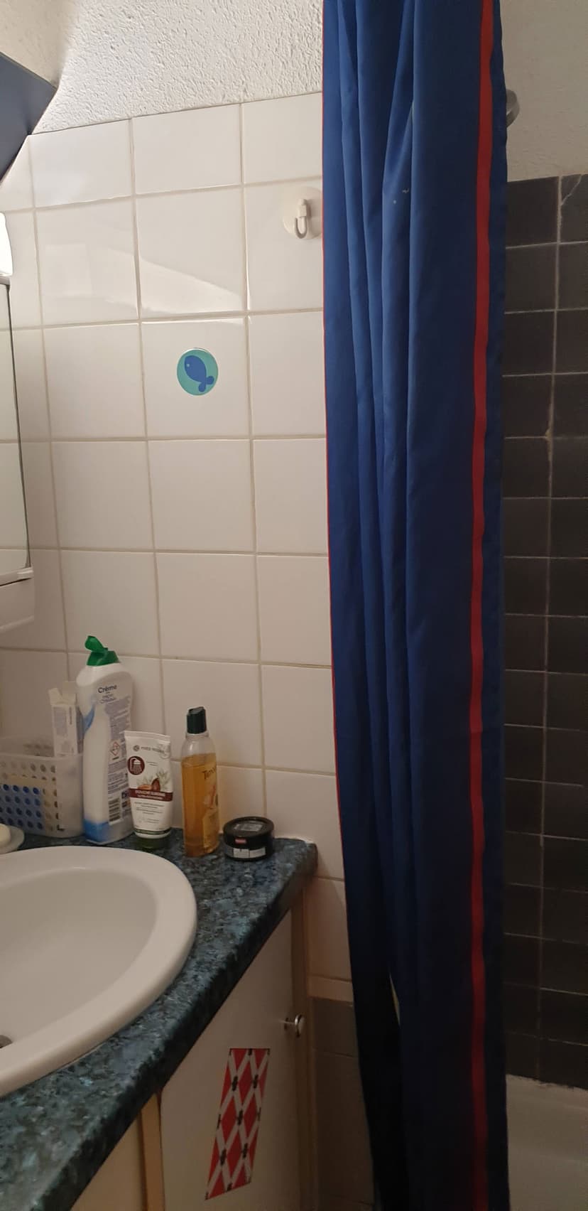 Rénovation complète d’un appartement de plage à Argelès-Plage - Image avant 6